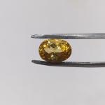 Sunhela 4.62 Carat