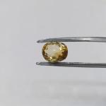 Sunhela 3.84 Carat