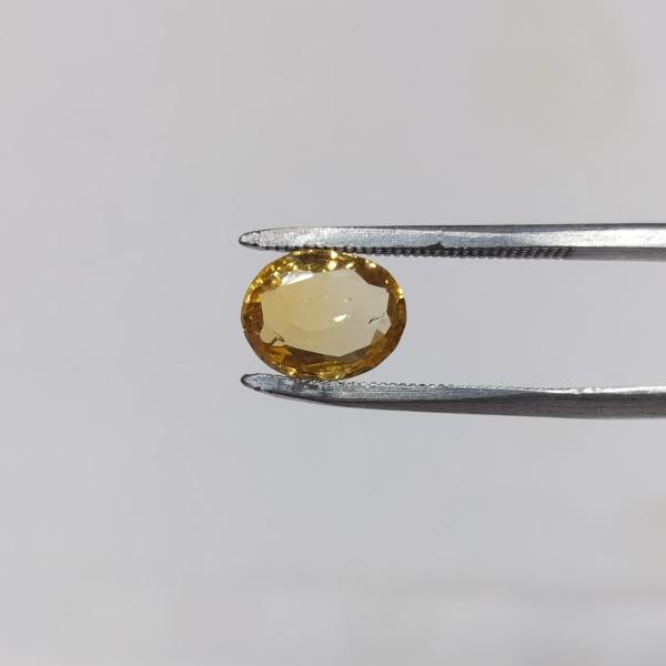 Sunhela 2.93 Carat