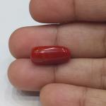 Coral 7.64 Carat