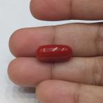 Coral 7.64 Carat