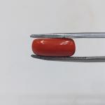 Coral 7.20 Carat