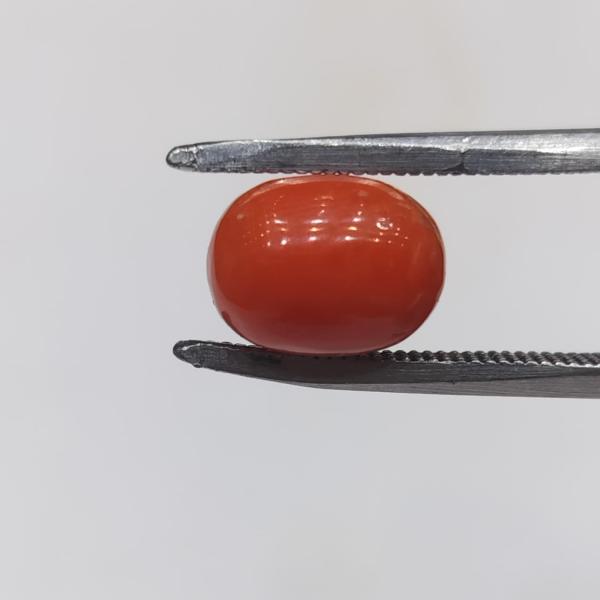 Coral 3.94 Carat