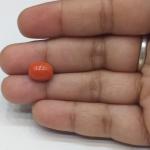 Coral 3.94 Carat