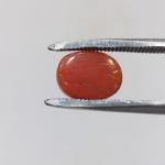 Coral 3.94 Carat