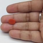 Coral 3.94 Carat