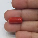 Coral 6.34 Carat