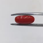 Coral 5.07 Carat