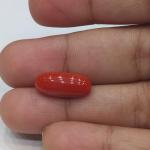 Coral 5.07 Carat