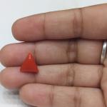 Coral 3.88 Carat