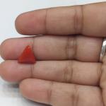 Coral 3.88 Carat