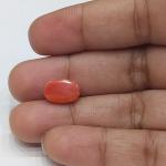 Coral 3.27 Carat