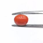 Coral 3.00 Carat