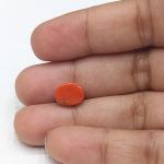 Coral 3.00 Carat