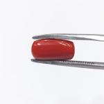 Coral 5.35 Carat