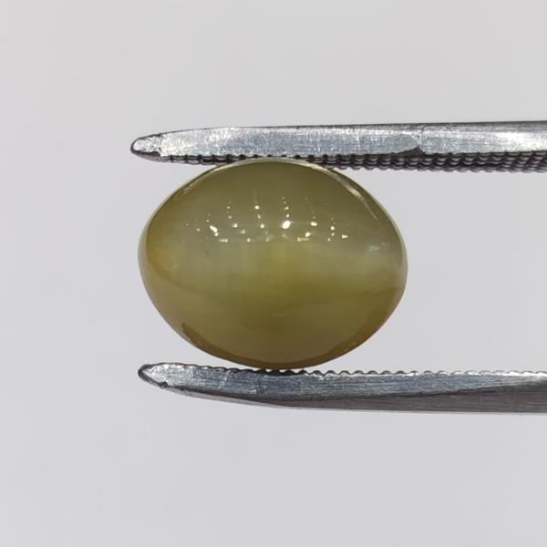 Cat's Eye 7.12 Carat