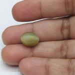 Cat's Eye 7.12 Carat