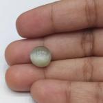Cat's Eye 6.87 Carat