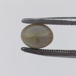 Cat's Eye 3.15 Carat