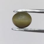Cat's Eye 5.75 Carat