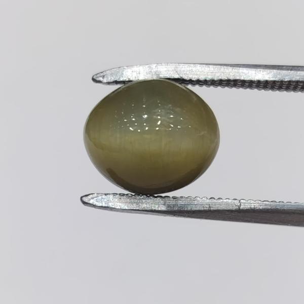 Cat's Eye 5.75 Carat