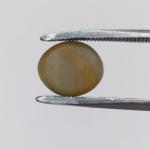 Cat's Eye 4.70 Carat
