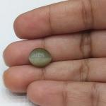 Cat's Eye 4.70 Carat