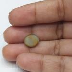 Cat's Eye 4.70 Carat