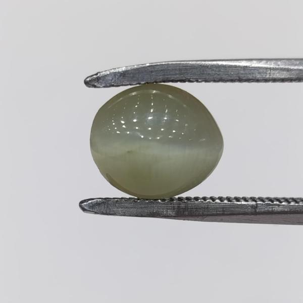 Cat's Eye 3.45 Carat