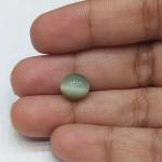 Cat's Eye 3.10 Carat