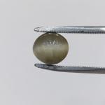 Cat's Eye 3.40 Carat
