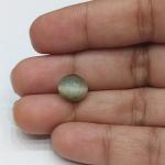 Cat's Eye 3.40 Carat