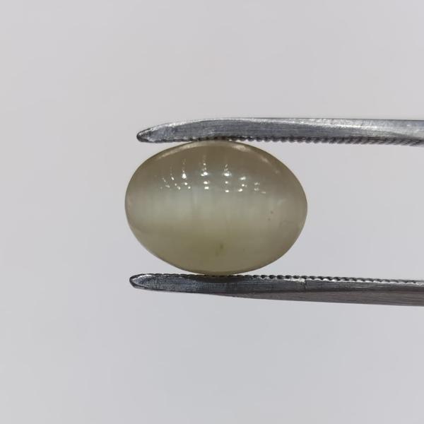 Cat's Eye 9.05 Carat