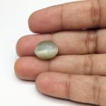 Cat's Eye 8.35 Carat