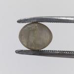 Cat's Eye 3.60 Carat