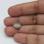 Cat's Eye 3.60 Carat