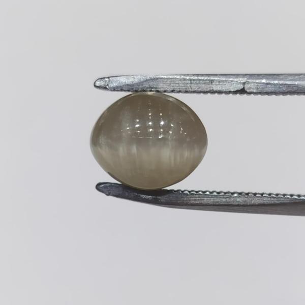Cat's Eye 3.60 Carat