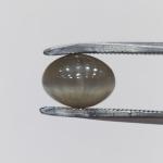 Cat's Eye 3.05 Carat