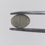 Cat's Eye 2.85 Carat