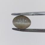 Cat's Eye 2.85 Carat