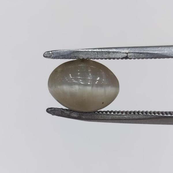 Cat's Eye 2.85 Carat