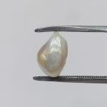 Pearl 5.60 Carat