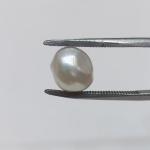 Pearl 4.90 Carat