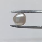 Pearl 4.58 Carat