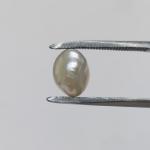 Pearl 4.30 Carat