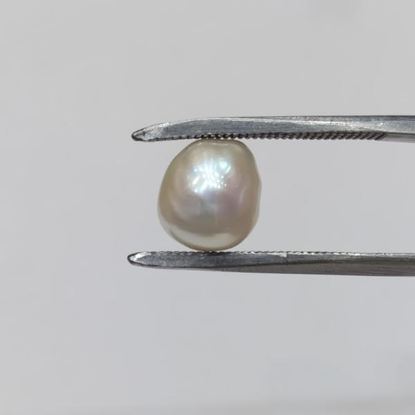 Pearl 4.71 Carat