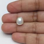 Pearl 4.71 Carat