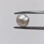Pearl 3.35 Carat