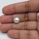 Pearl 3.35 Carat
